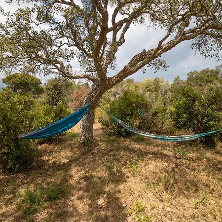 Βίλα A Terra - A 200m De La Pianottoli-Caldarello (Corsica)